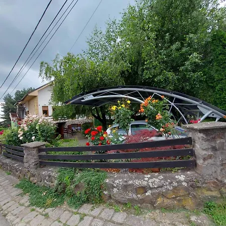 Breza Vrdnik